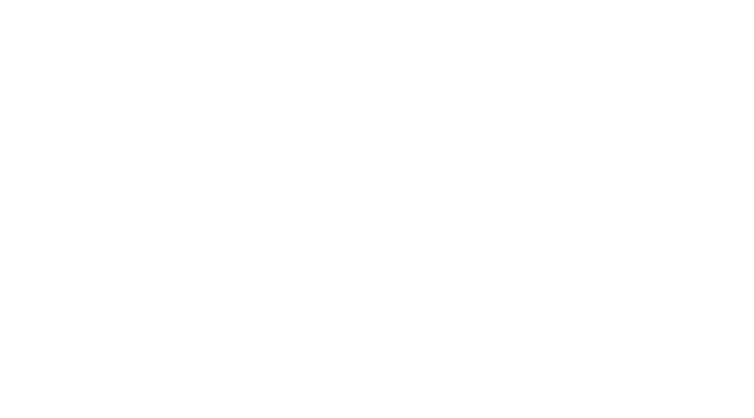 light logo