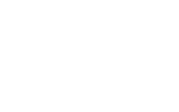 light logo
