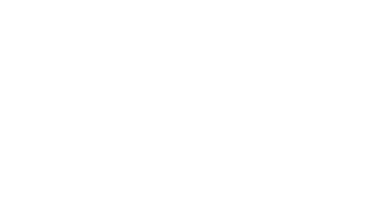 light logo